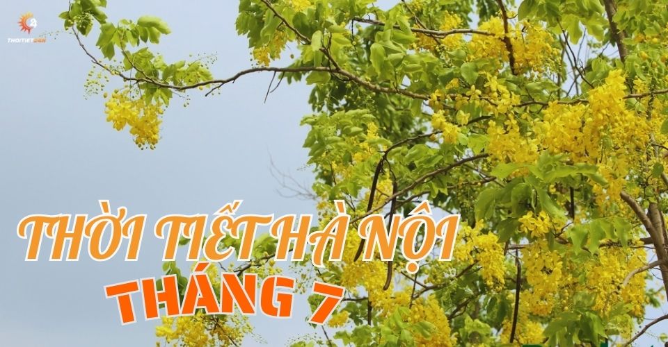 Thời tiết Hà Nội tháng 7: Thành phố "hứng chịu" nắng nóng đỉnh điểm